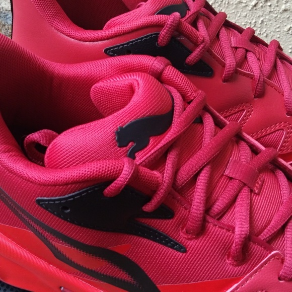 PUMA Genetics - Picture 11 of 13